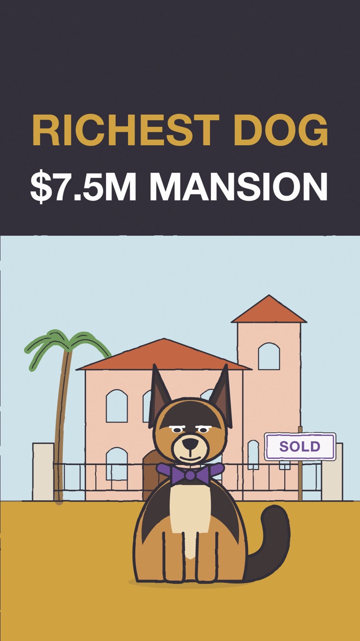 The Richest Dog in the World